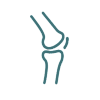 Knee Replacement